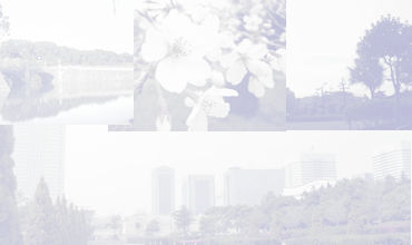 �T���v���摜